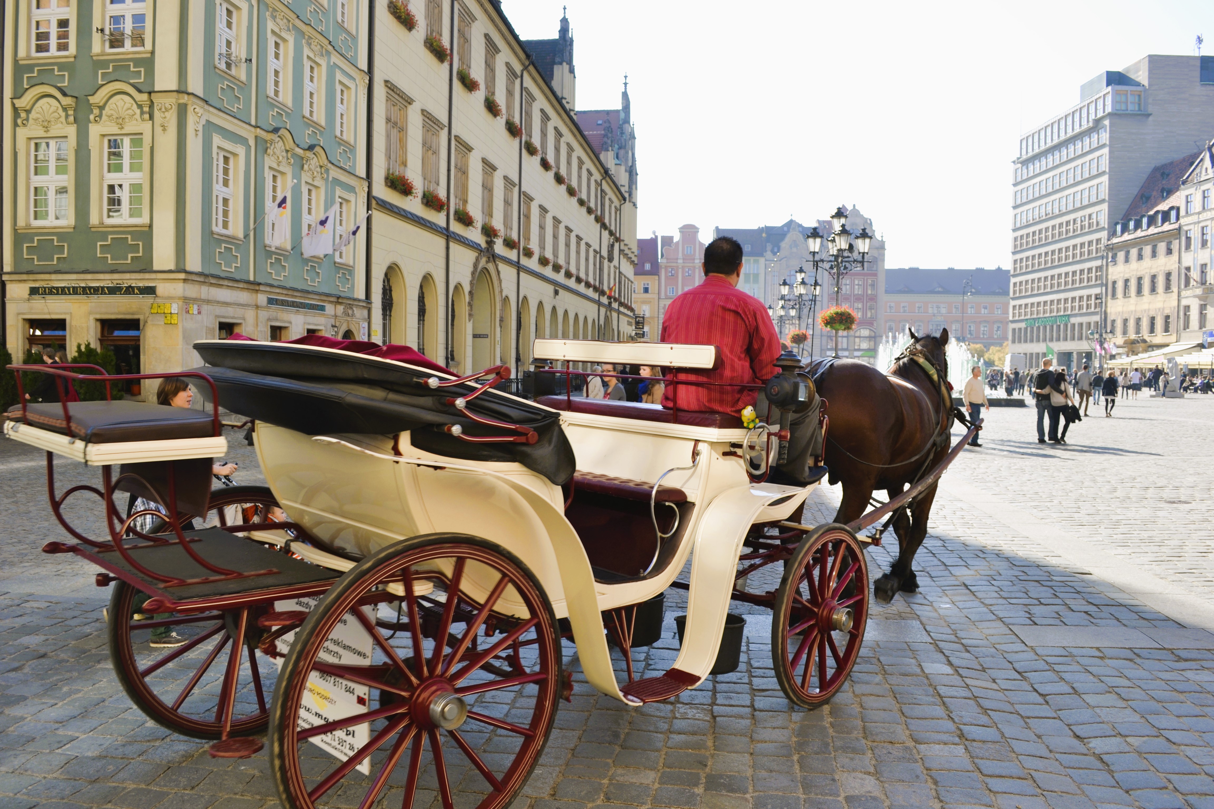 Horse and carriage in the market square in Wroclaw