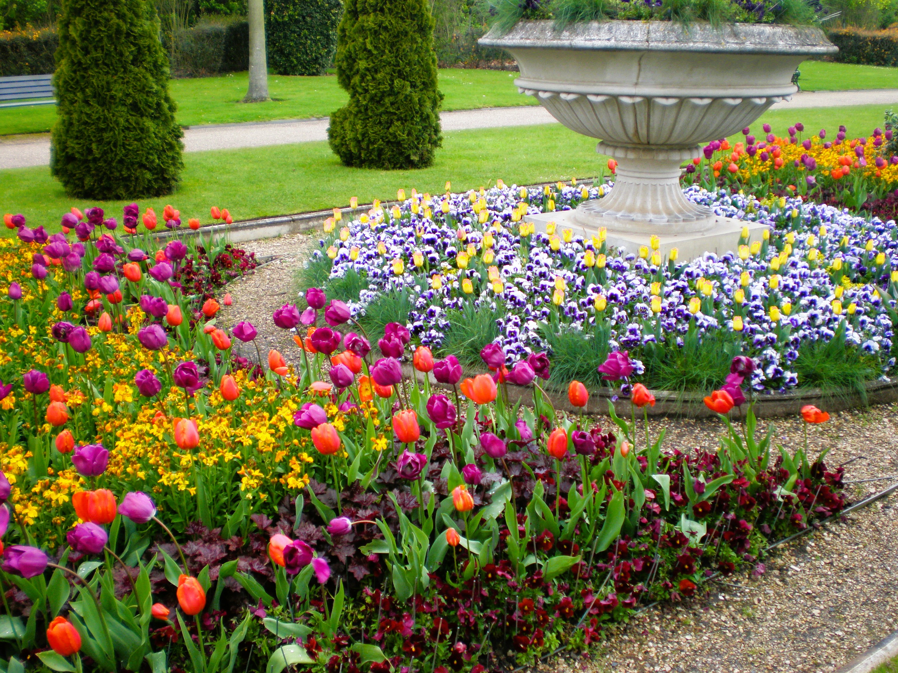 Spring in bloom in one of the many public gardens in London