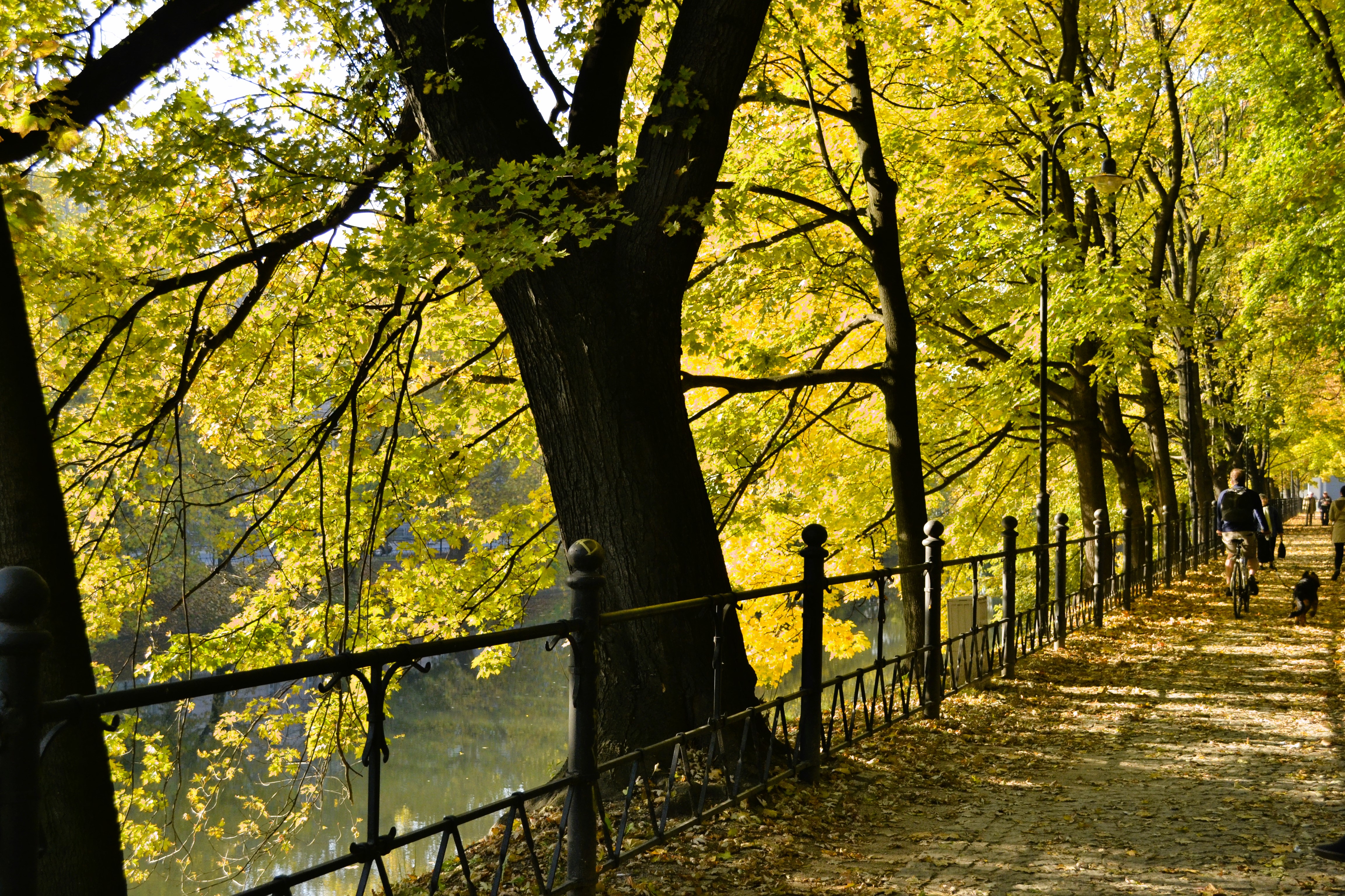 Walkway along the Odra River in Wroclaw