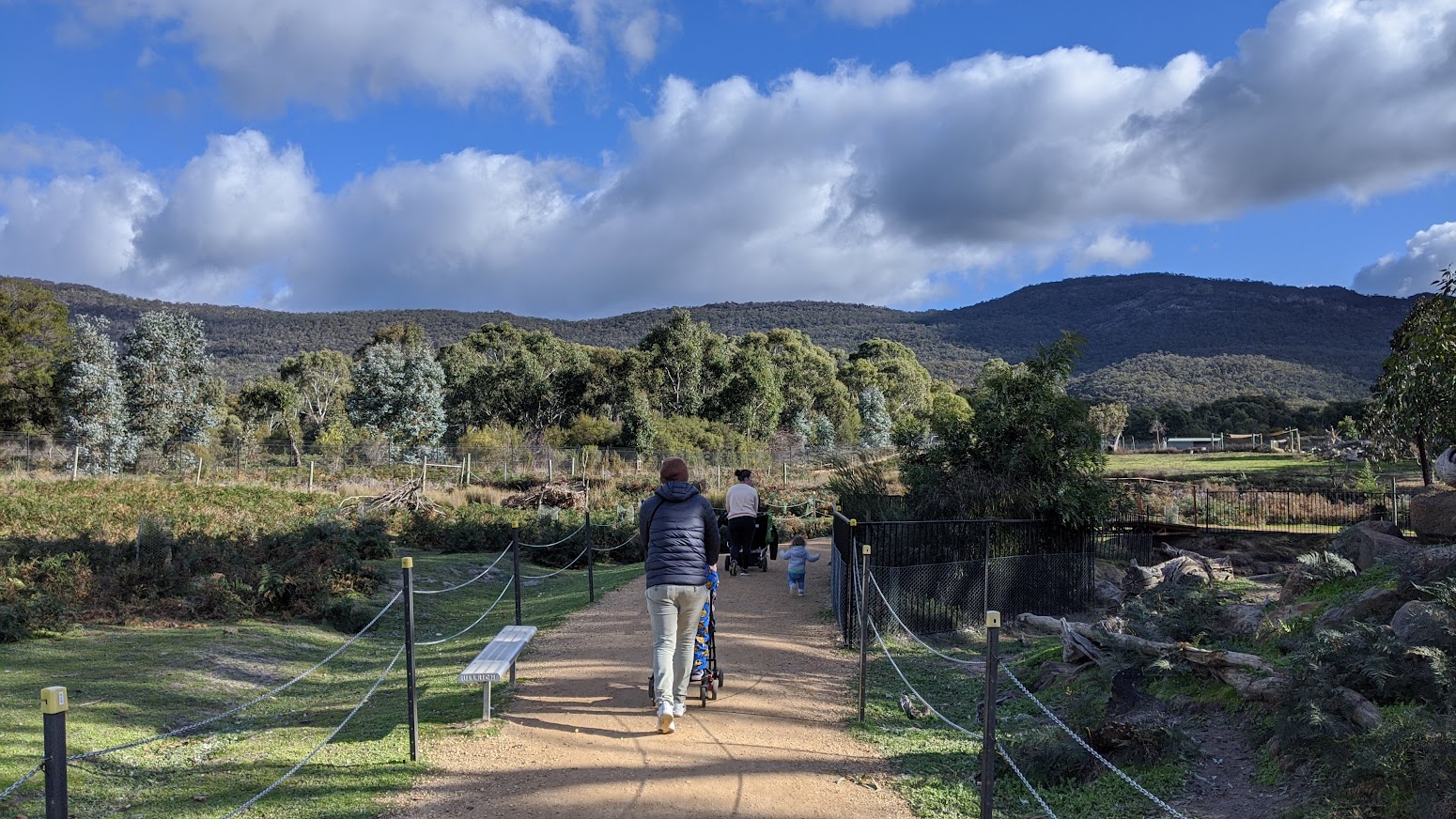 Walking through Halls Gap Zoo