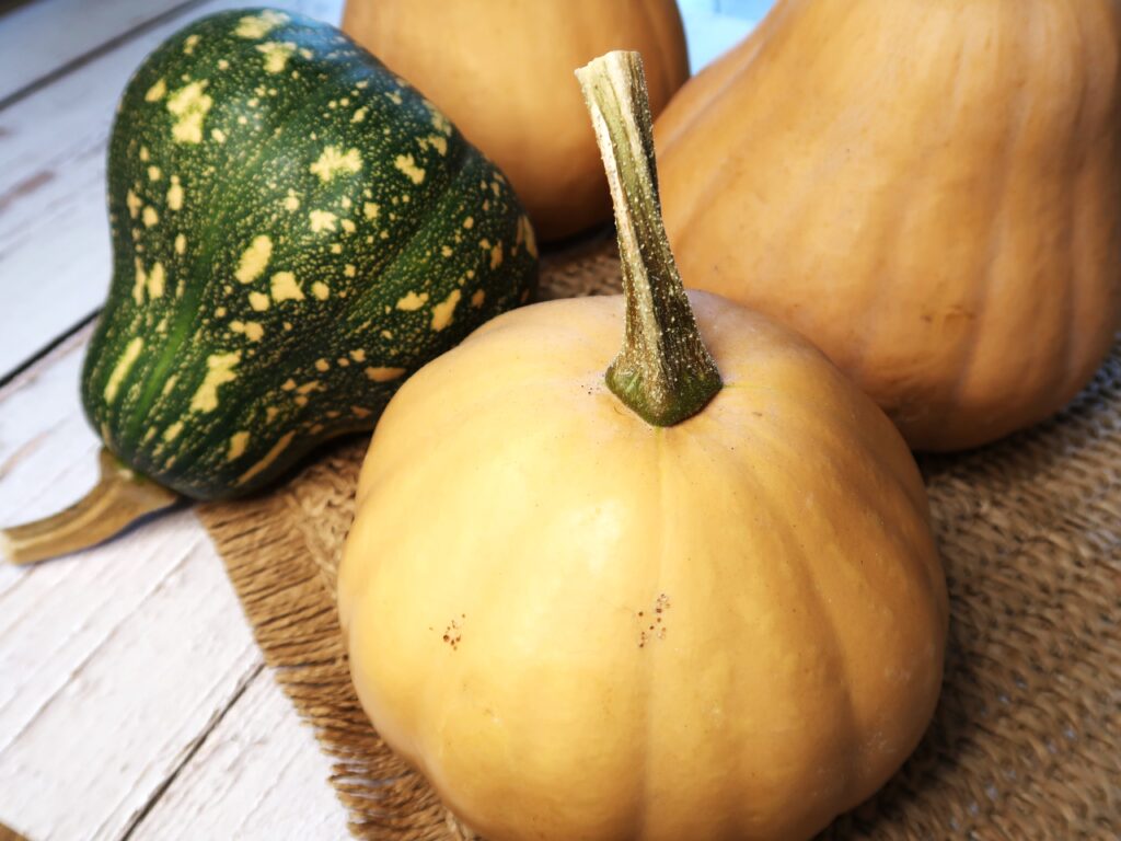 types of pumpkins that can be used, jap or butternut