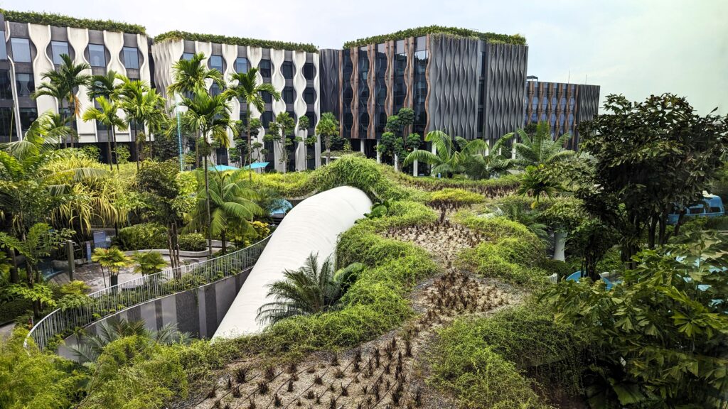 the green roof above the pool deck at village sentosa