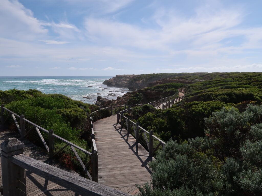 one of the many viewpoints to see the cliffs in Warrnambool