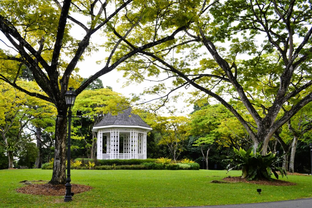 singapore botanical gardens