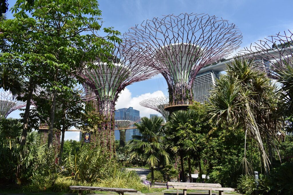 gardens by the bay one of the popular free attractions to see in Singapore with kids