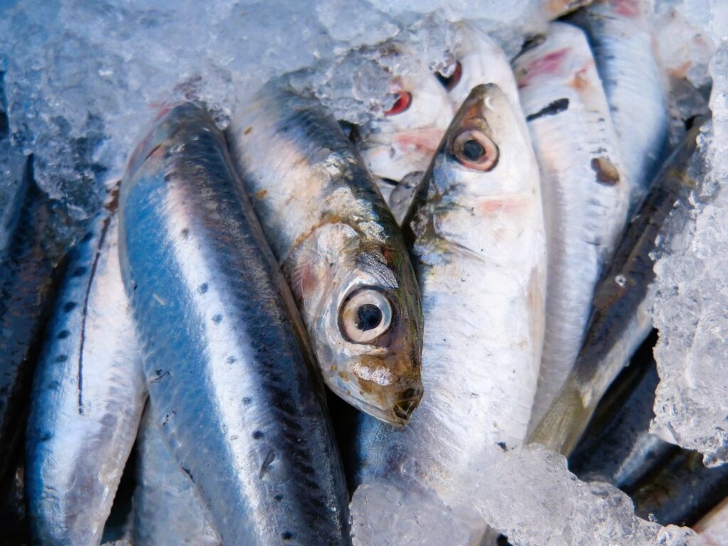 Sardines are used for this pasta dish