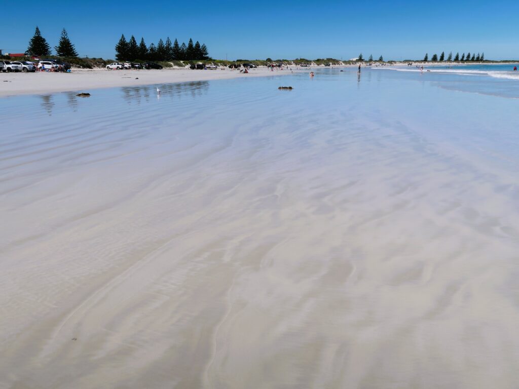 beaches in Port Macdonnell