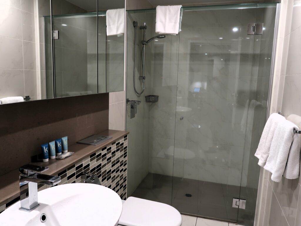 Bathroom with shower in the Altitude Suite